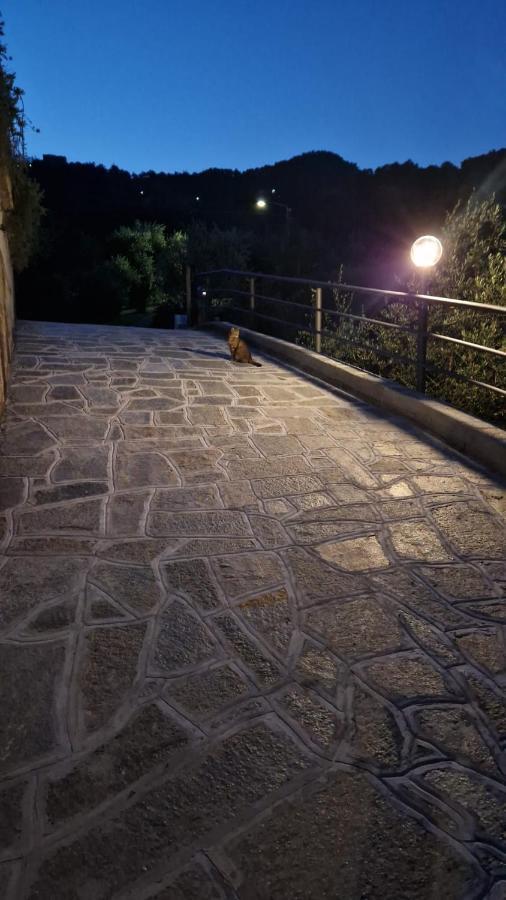 Tivegna Villa Degli Ulivi מראה חיצוני תמונה