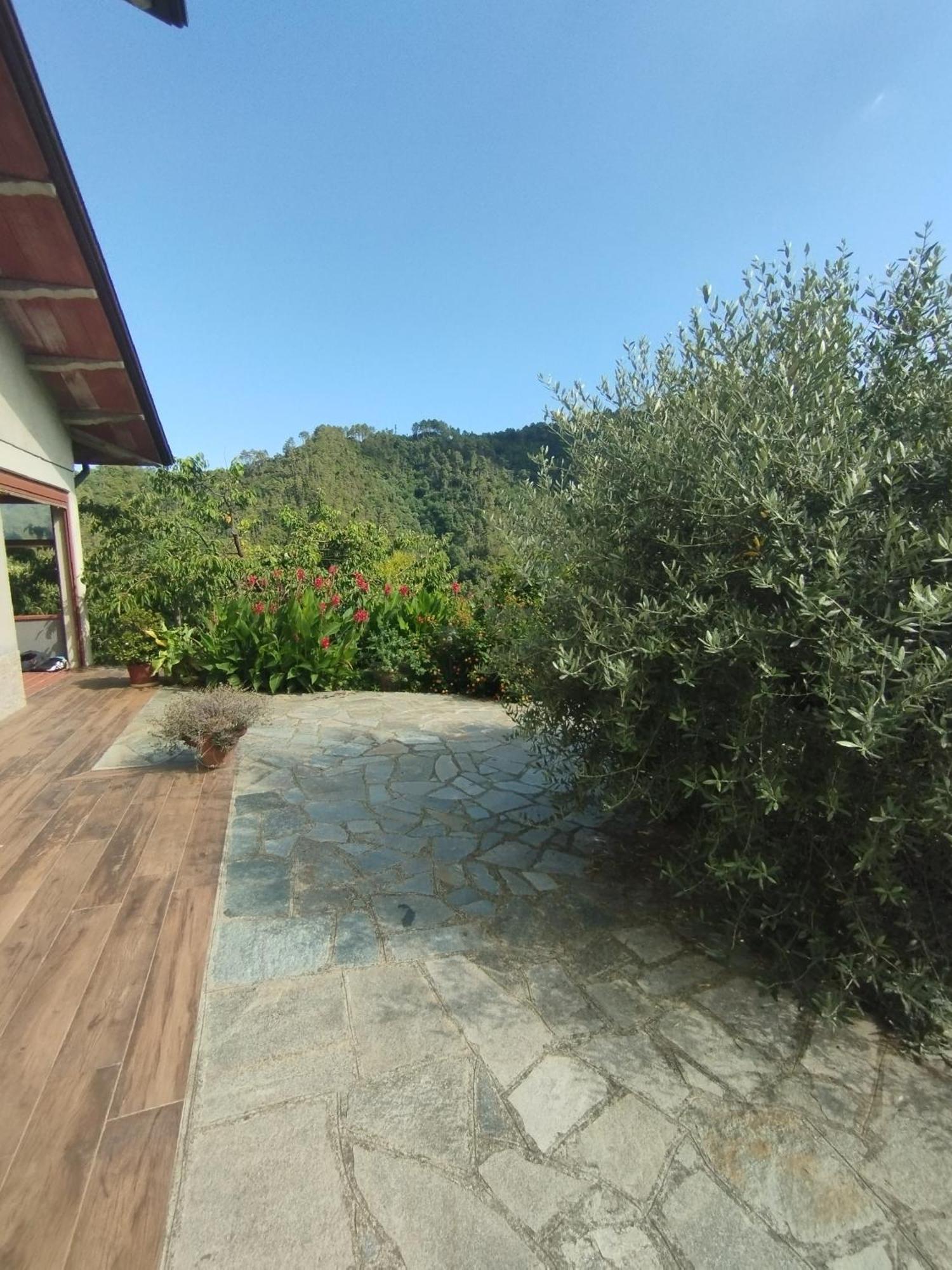 Tivegna Villa Degli Ulivi מראה חיצוני תמונה