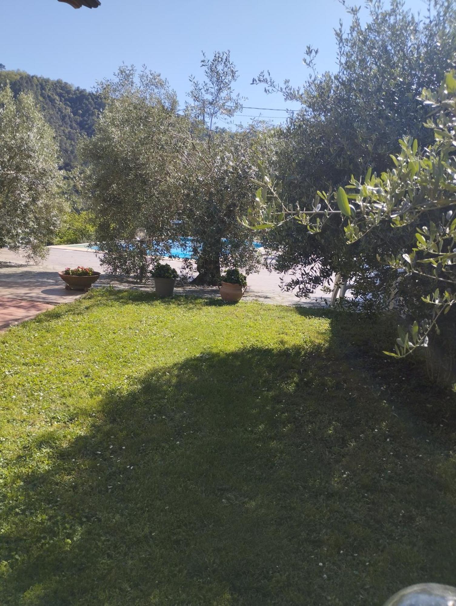 Tivegna Villa Degli Ulivi מראה חיצוני תמונה